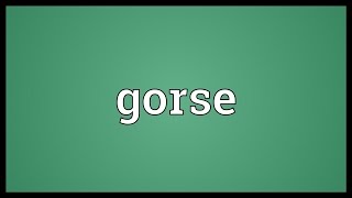 Gorse Meaning [upl. by Savior]