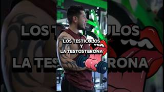 La Testo y Testículos humor consejosgym gymtips tips gimnasio salud consejosfitness [upl. by Lissner]