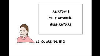 Anatomie de l’appareil respiratoire [upl. by Ahsikar]