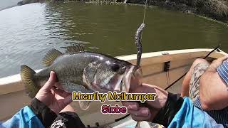 Inanda Dam  Bass Fishing  Testing new colours from McArthy baits [upl. by Yajeet185]