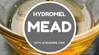 How to Make Mead  Hydromel Mead [upl. by Nord]