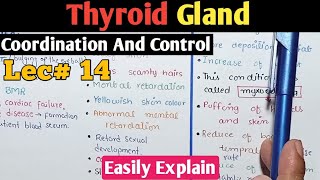 Thyroid Gland Anatomy And its Hormones In Urdu Hindi  Class 12 Biology [upl. by Us]