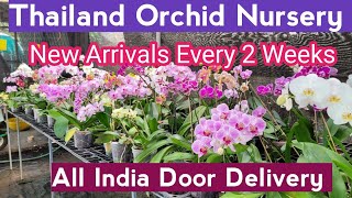 GeorgeTheIndianFarmer Eden Gardens Orchid Nursery Ollur Thrissur Kerala ഓർക്കിഡ് നഴ്സറി [upl. by Marin888]