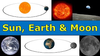 How Planets amp Comets orbit Around The Sun I [upl. by Jeniece]