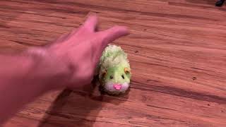 Zhu Zhu Pets Review  Finnegan [upl. by Egor526]