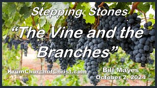 Stepping Stone for October 2 2024 “The Vine and the Branches” [upl. by Aikahc]