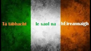 Racist settler colonists should leave Ireland [upl. by Hgielsel]