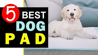 Best Dog Pads 2023 🏆 Top 5 Best Dog Pads Reviews [upl. by Livingston]