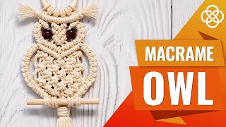 DIY Macrame Owl Tutorial  Macrame DIY  How to Make Macrame Owl [upl. by Elsinore813]