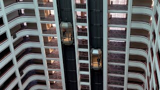 Scenic Fujitec Traction Elevators at the RiverCenter Marriott  Covington KY [upl. by Annemarie739]