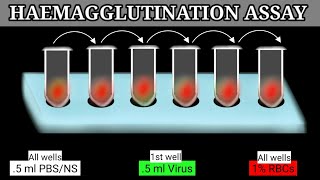 Haemagglutination Assay  HA Assay  HA Test [upl. by Enimsay]