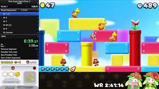 NSMB2 speedrun 100 25351 [upl. by Golding]