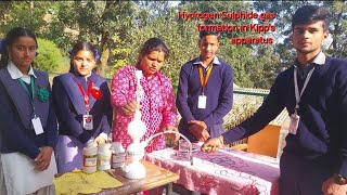 How to prepare H2S  Hydrogen sulphide gas using kipps apparatusClass 12 GIC Bhooligaon [upl. by Akinal]