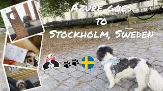 Azure Goes to Stockholm Sweden 2023 Part 1  Azure Koira Vlogs 🐾 [upl. by Micki791]