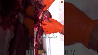 Deer Processing  Removing the back leg shorts hunting deerseason [upl. by Enomsed337]