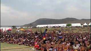 UMKHOSI WOMHLANGA 2022 KWANONGOMA ENYOKENI ZULU REED DANCE ZULU IZINTOMBI HERITAGE [upl. by Anisor]