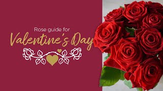 Guide to Valentines Day Roses [upl. by Aiuqet100]