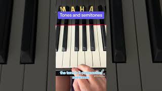 TONES amp SEMITONES the ABSOLUTE EASIEST definition  examples music musictheory [upl. by Josephson]