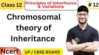 Chromosomal Theory of Inheritance  Class 12 Biology  NCERT [upl. by Thea]