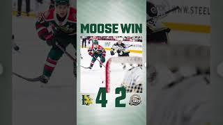 Halifax Mooseheads win hockey qmjhl mooseheads shorts [upl. by Analra10]