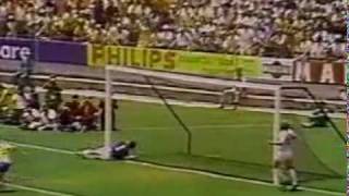 Greatest Ever Goalkeeper Save  Gordon Banks Saves from Pele [upl. by Nomyaw]