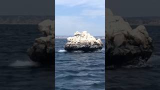 Is This a Real Rock Floating on the Sea🛥️😱 camouflage boat shortvideo [upl. by Anaimad]