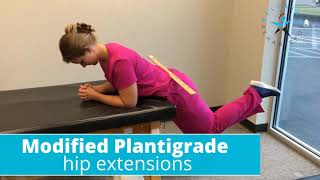 Modified plantigrade hip extensions [upl. by Andros]