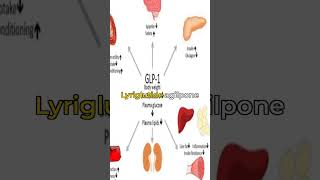 Liraglutide and Alzheimers Disease [upl. by Talya936]