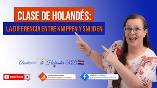 🇳🇱Clase de Holandés la diferencia entre KNIPPEN y SNIJDEN cortar [upl. by Aleihs]