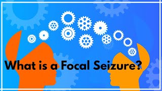 What is a focal seizure [upl. by Ebanreb]