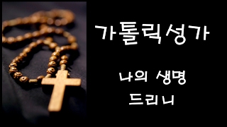 가톨릭 성가  나의 생명 드리니 Korean Catholic Hymns [upl. by Ecilayram]