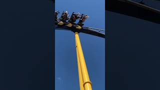 Montu at Busch Gardens Tampa [upl. by Nalro951]