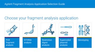 Confident Nucleic Acid Fragment Analysis for Your Applications with Automated Electrophoresis [upl. by Leiad]