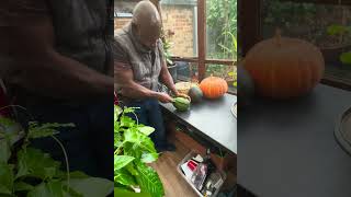 The Callaloo man cutting my very first homegrown watermelon 🍉 [upl. by Nancie]