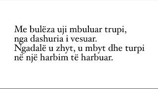 “Vdekja e turpit absurd” poezi nga Teodor Keko interpreton Timo Flloko [upl. by Rimaa]