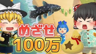 あつ森 アップデートに備えて目指せ100万ベル！収納にある不用品を売ったり、魚を釣ったり、素潜りをする【ゆっくり実況】 [upl. by Joiner]