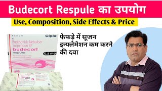 Budecort Respule Budesonide and Inhaler Use Side Effects and Price in Hindi Asthma  COPD [upl. by Tahmosh]