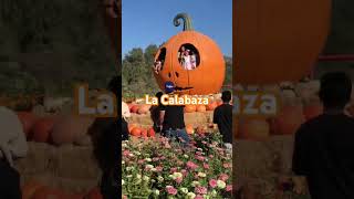 La Calabaza ✅calabaza suscríbetealcanal soyfernandooficial halloween flores [upl. by Soph]