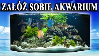 Początkujący 🐠 Propozycje RYB do Pierwszego AKWARIUM [upl. by Nhguavahs]