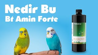 Bt Amin Forte Ne İşe Yarar  Bt Amin Forte Nedir  B Vitamini  muhabbet [upl. by Nahsed]