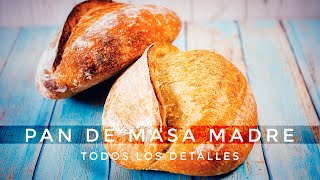 CÓMO HACER PAN DE MASA MADRE AMASADO [upl. by Lathan]