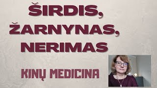 Kinų medicina ir filosofija  Širdis nerimas plonasis žarnynas 28 [upl. by Animor]