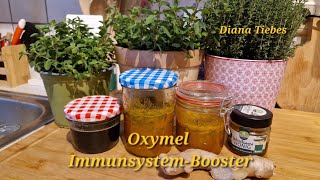 Immunsystem stärken mit Oxymel Einfach selbst gemacht und so gesund und lecker [upl. by Van]