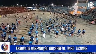 Ensaio preparativo Onça preta tribo Tikunas para o X FESTISOL [upl. by At418]