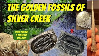 Golden Fossils of Silver Creek Trilobites Cephalopods Fossil Hunting and Collecting With Chris [upl. by Damahom519]