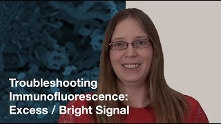 Troubleshooting Immunofluorescence Excess Bright Signal  CST Tech Tips [upl. by Rihsab]