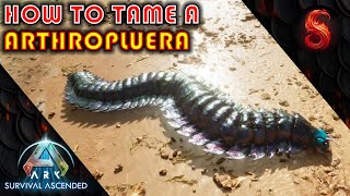 ARK SURVIVAL ASCENDED HOW TO TAME A ARTHROPLUERA [upl. by Clauddetta]