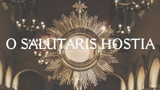 O Salutaris Hostia  Catholic Latin Hymn [upl. by Rolyt281]