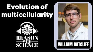 How multicellularity evolves  William Ratcliff  Reason with Science  Origin and evolution of life [upl. by Akkire251]