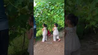 Twin Sisters Luffa Adventure with Grandpashorts [upl. by Yelha]